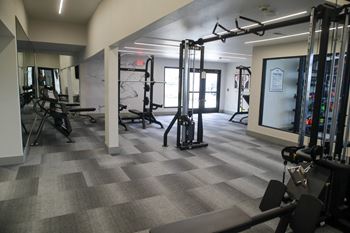 A gym with a variety of equipment including a treadmill, weights, and a bench press at The Azul Apartment Homes in Oxford, MS