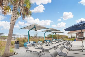 a pool with lounge chairs and umbrellas and a palm tree