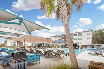a swimming pool with chairs and umbrellas and a palm tree