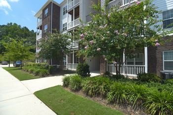 a sidewalk in front of an apartment building with a flowering tree
