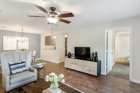 a living room with a couch and a tv at Bridgewater Apartment Homes, Brandon, 39047