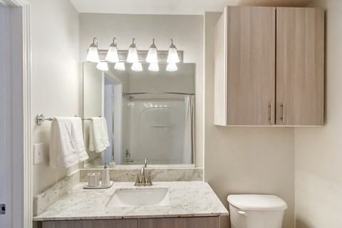 a bathroom with a sink and a mirror and a toilet at Bridgewater Apartment Homes, Brandon