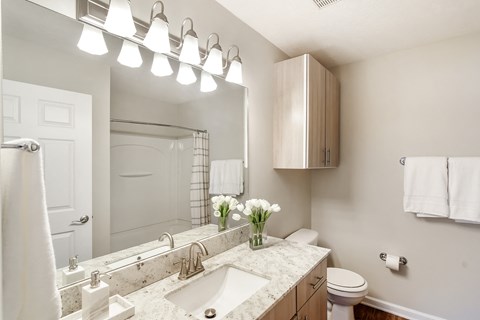 a bathroom with a sink and a toilet and a mirror at Bridgewater Apartment Homes, Brandon, 39047