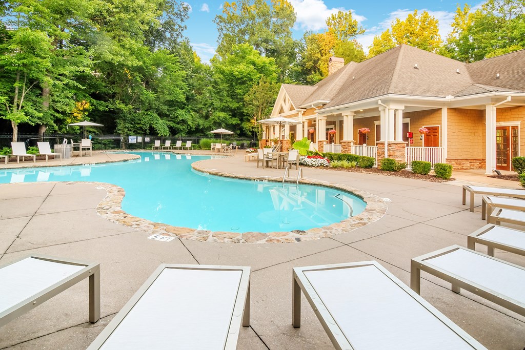 A large outdoor swimming pool surrounded by sun loungers and trees.