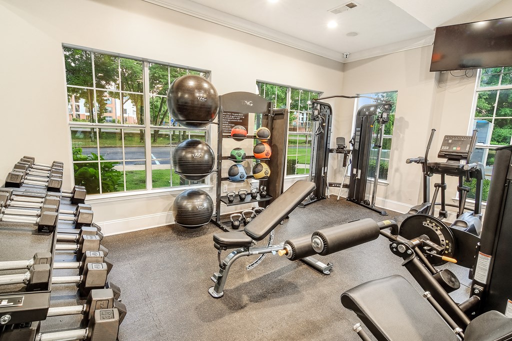 A gym with a variety of equipment including weights and a bench press.