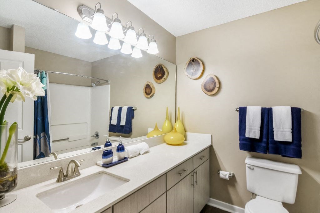 Bath at Crossgates Apartment Homes, Mississippi