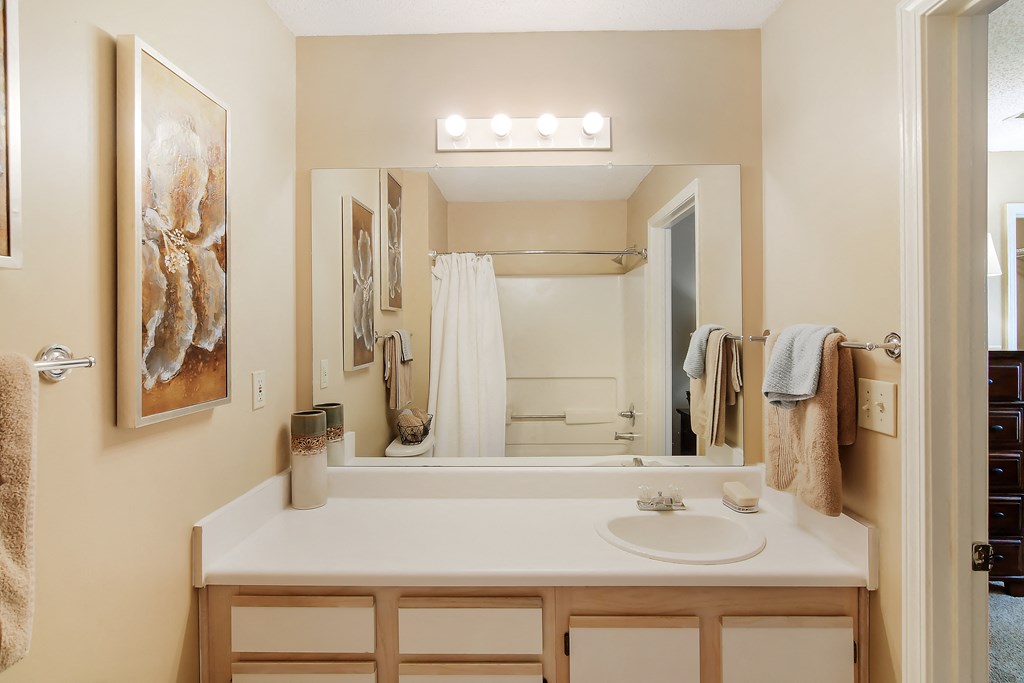 Bathroom With Vanity Lights at The Colony Apartment Homes, Columbus