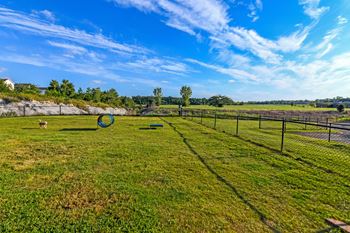 Bark Park at Avalon Apartment Homes in Starkville, Mississippi