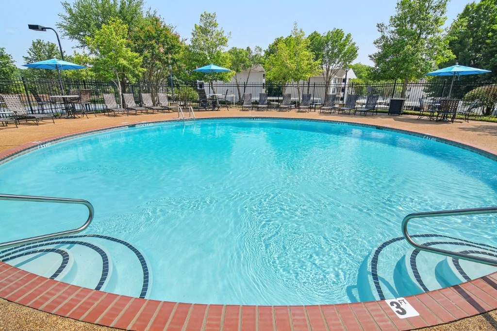 a swimming pool with chairs and umbrellas and trees in the background at Lexington Pointe Apartment Homes, Oxford, MS