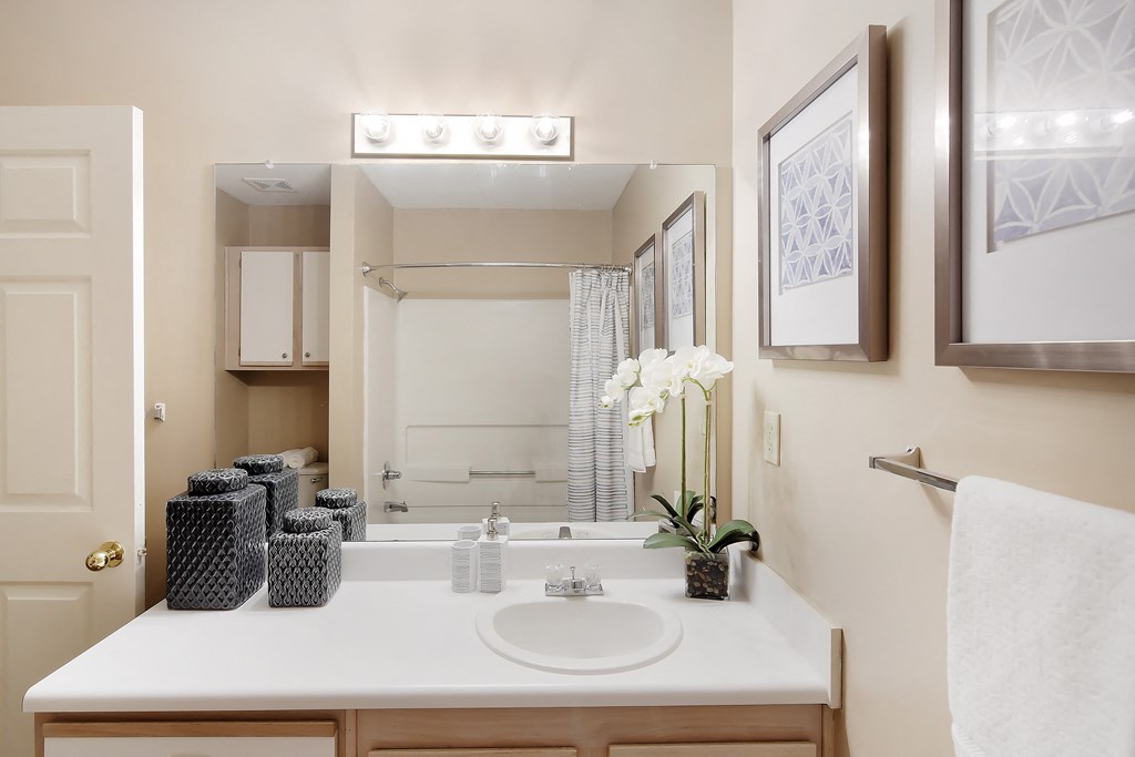 a bathroom with a sink and a mirror and a shower at Lexington Pointe Apartments in Oxford, MS 