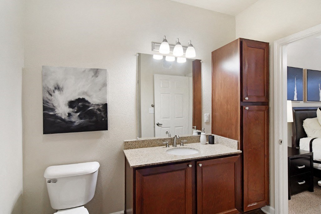 a bathroom with a toilet sink and mirror at Faulkner Flats Apartment Homes, Oxford, 38655