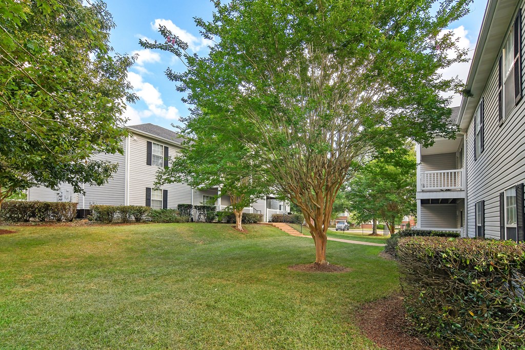 Lush Green Landscape at Parklane Apartment Homes, McComb, 39648
