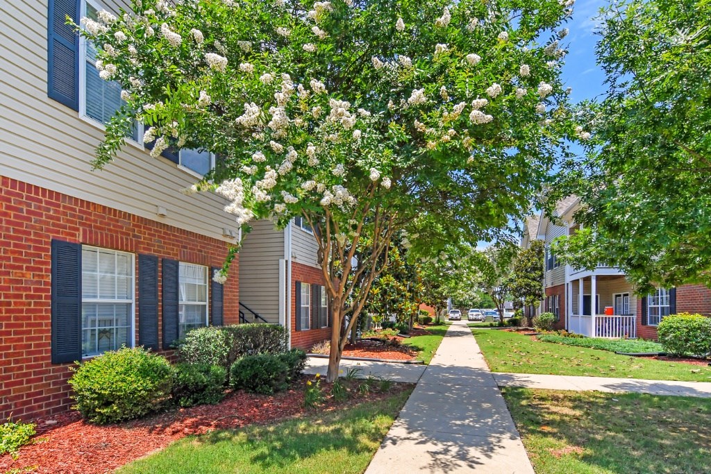 a tree with white flowers in front of a building  at Landing at Willow Bayou Apartment Homes, Louisiana, 71111