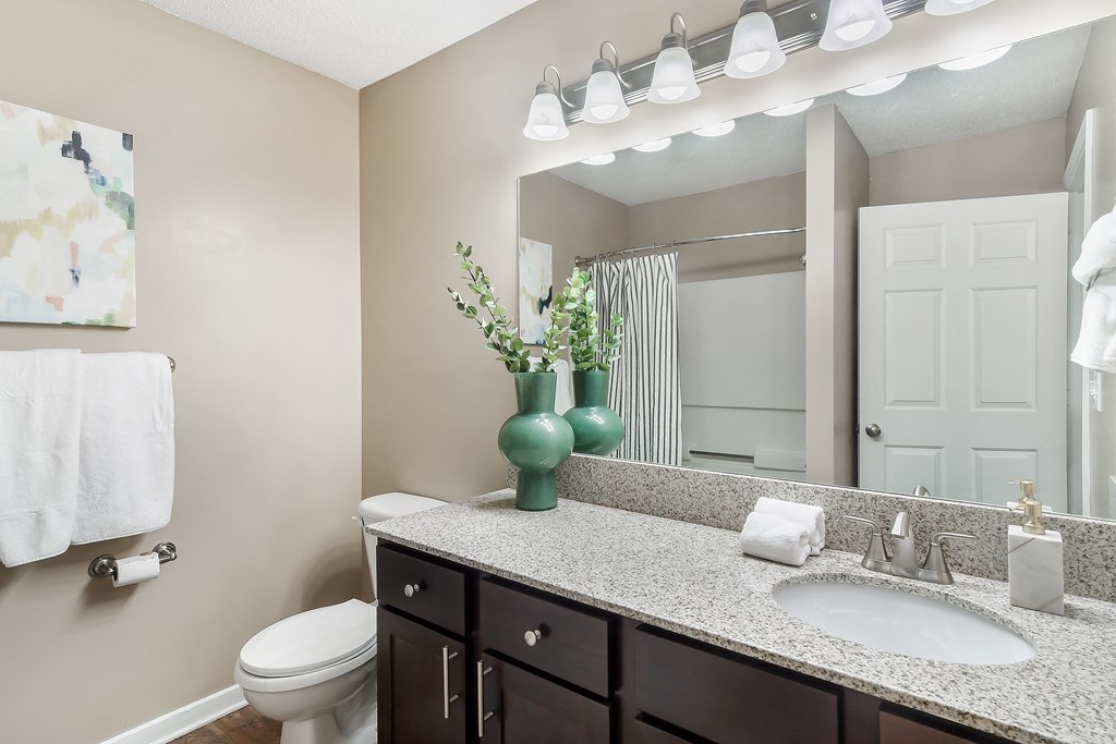 a bathroom with a mirror and a sink and a toilet at Reserve at Gulf Hills Apartment Homes in Ocean Springs, Mississippi