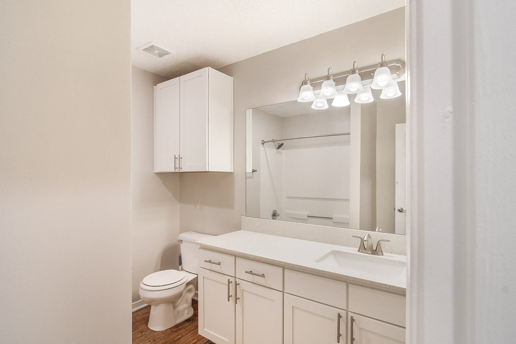 a bathroom with a sink and a toilet and a mirror at The Woodlands Apartment Homes, Meridian, 39301