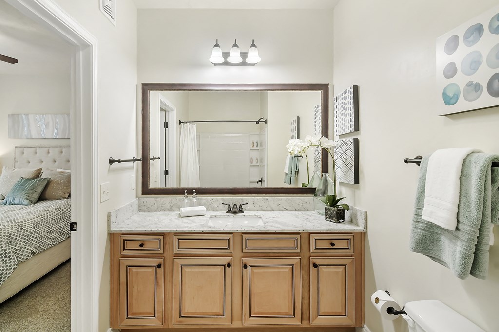 a bathroom with a sink and a mirror at Charleston Apartment Homes, Mobile, AL