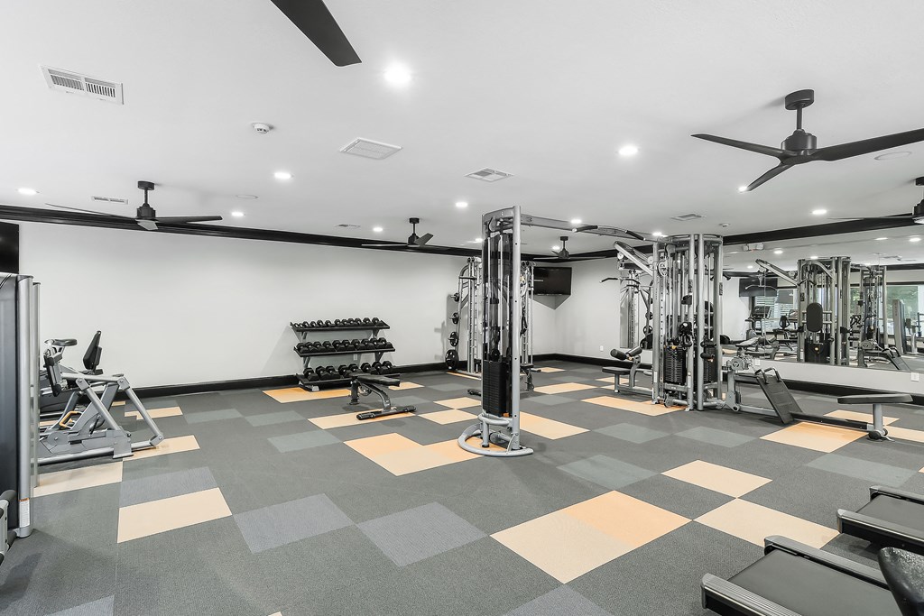 a gym with weights and cardio machines on the floor and a wall with a tv at The Woodlands Apartment Homes, Meridian, MS