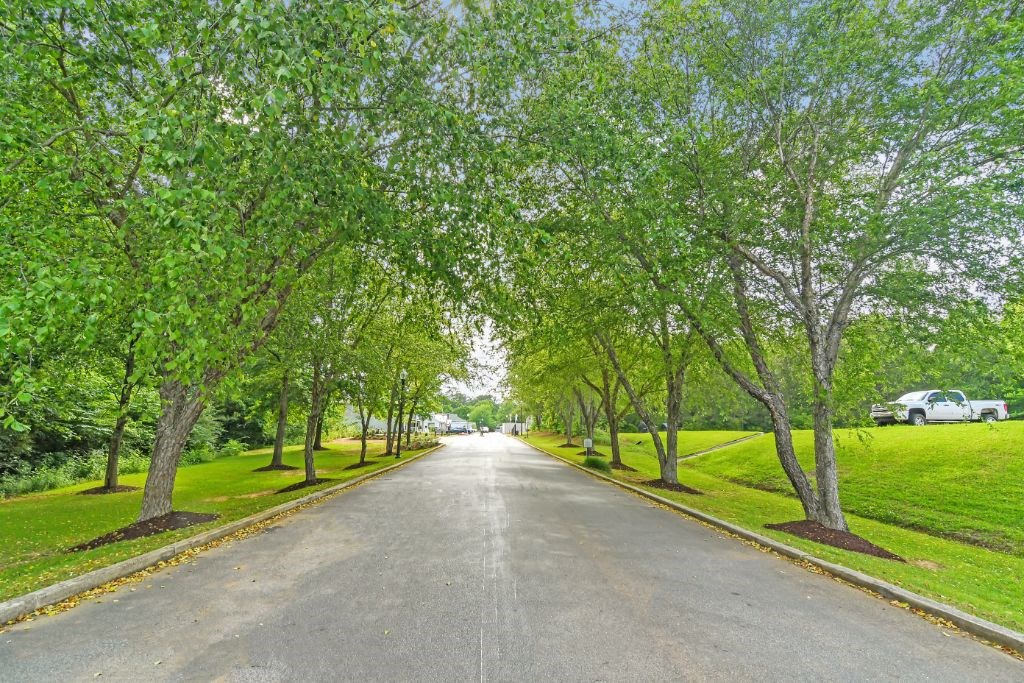 a tree lined street in a park at The Woodlands Apartment Homes, MS, 39301
