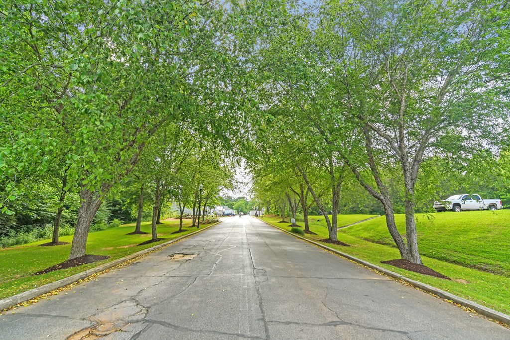 a tree lined street with green grass and trees on both sides at The Woodlands Apartment Homes, Mississippi