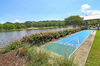 Shuffleboard  at Lakeshore Pointe Apartment Homes, Brandon