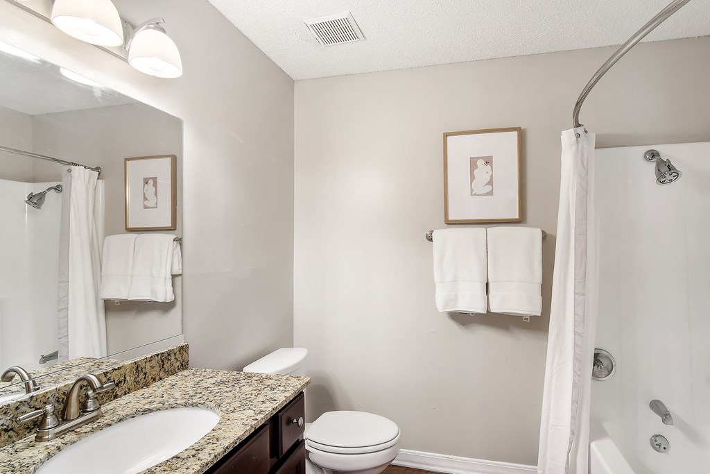 a bathroom with a large mirror and a sink and a toilet at Lakeshore Pointe Apartment Homes, Brandon, 39047