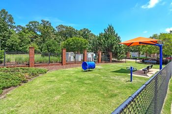 our apartments offer a dog park with a playground at Bridgewater Apartment Homes, Brandon, Mississippi