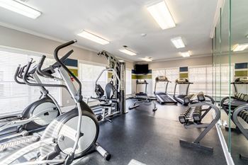 Fully Equipped Fitness Center at The Vineyard at Castlewoods Apartment Homes, Brandon