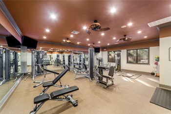 Fully Equipped Fitness Center at Reserve of Gulf Hills Apartment Homes, 39564 - Photo Gallery 37
