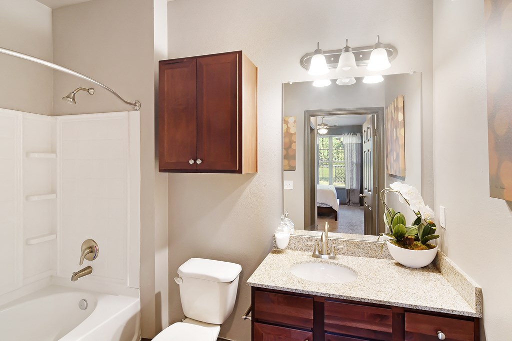 a bathroom with a sink toilet and a mirror at Audubon Park Apartment Homes, Zachary, 70791