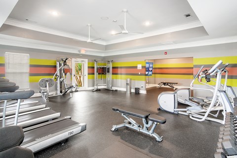 a gym with cardio equipment and weights in a building with yellow and orange walls at Avalon Apartment Homes, Starkville, MS, 39759