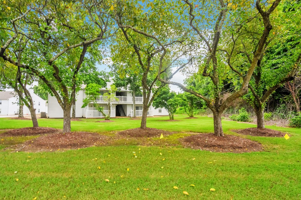 a group of trees in the grass in front of a building