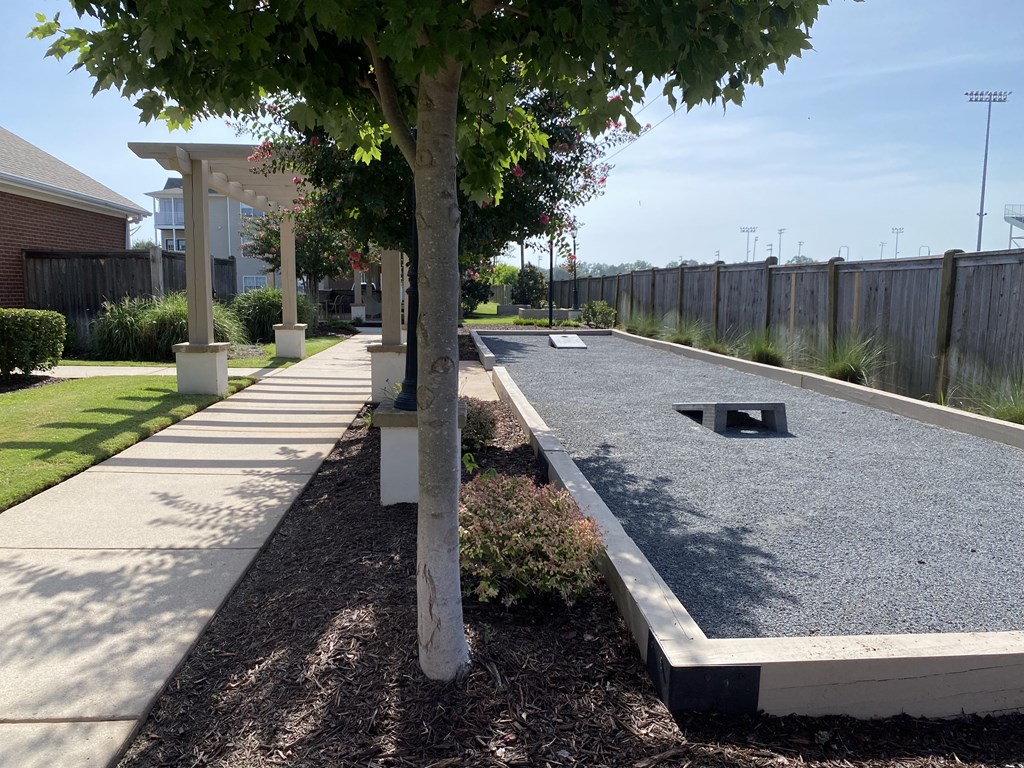 A tree in a concrete planter stands next to a concrete path.
