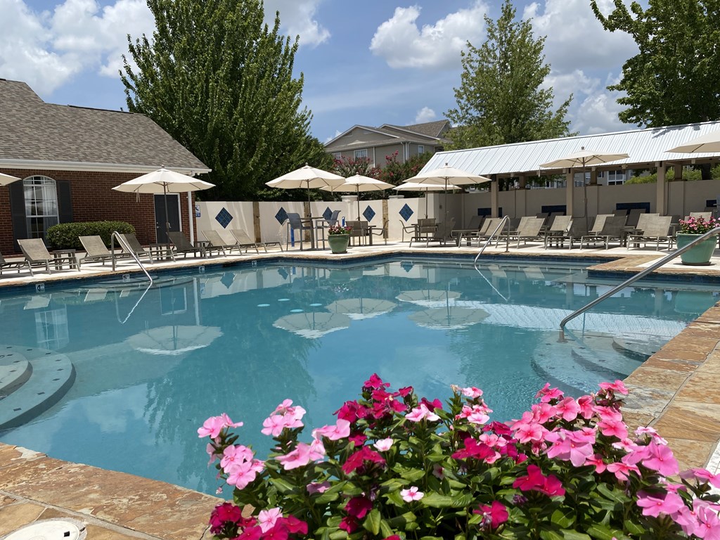 A pool surrounded by chairs and umbrellas with flowers in the foreground.