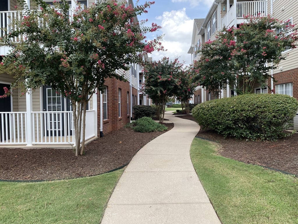 A walkway between two rows of apartment buildings.