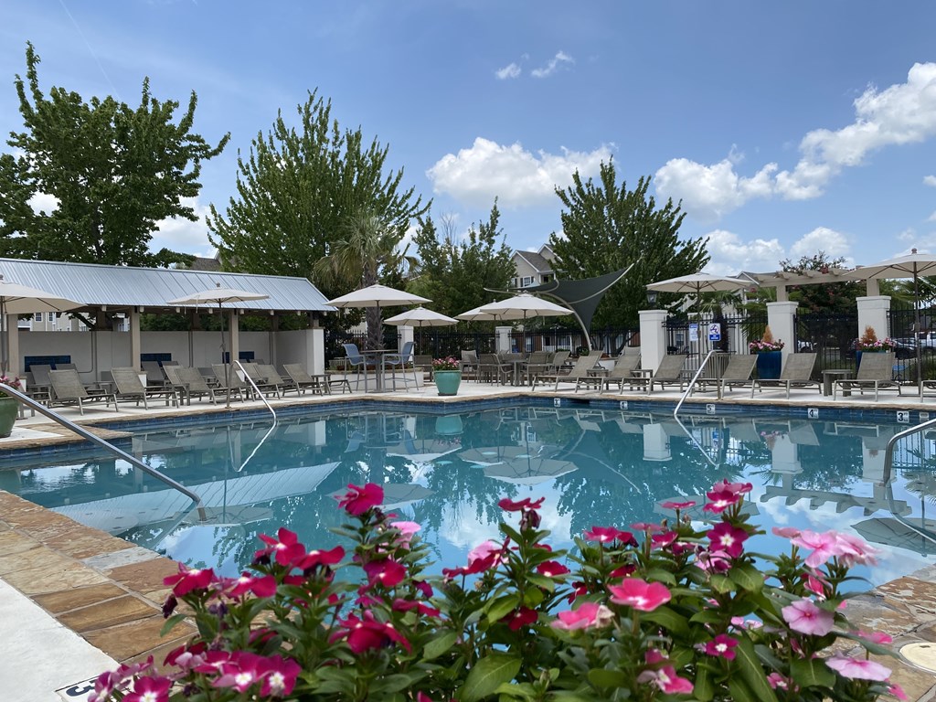 A pool surrounded by flowers and umbrellas.