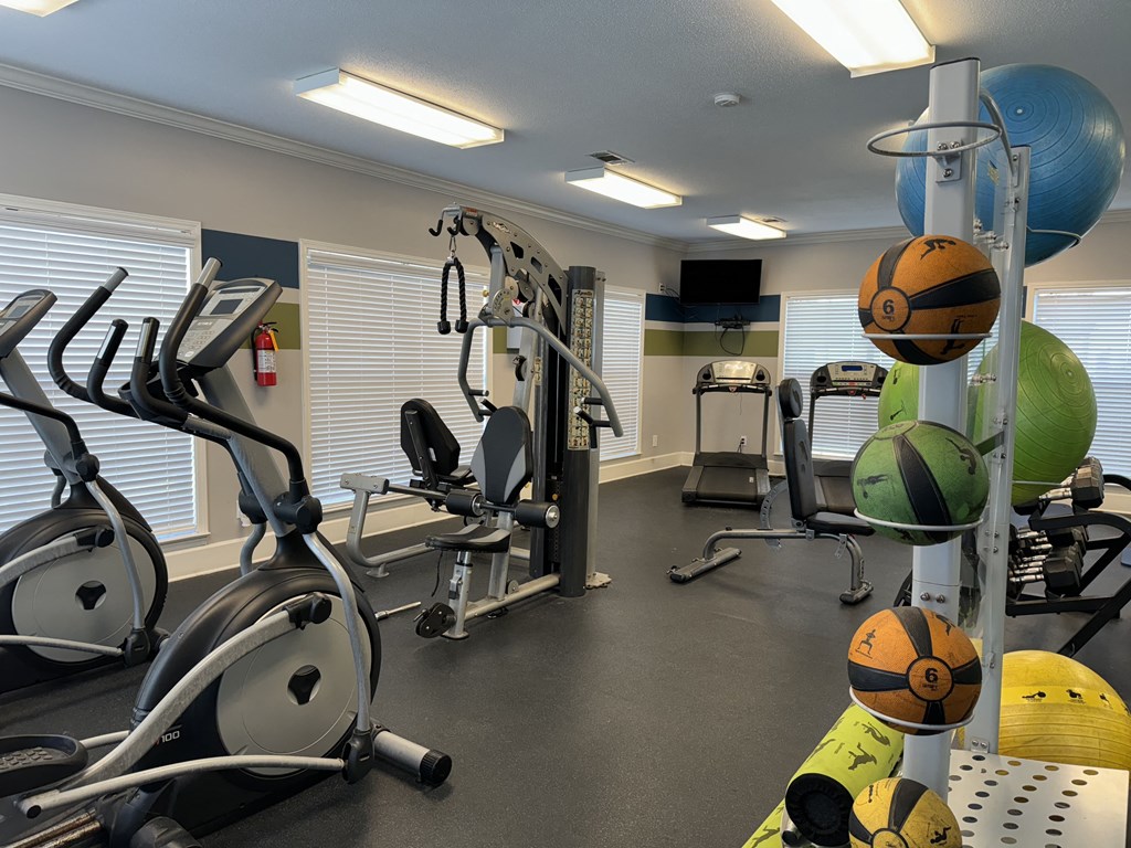 a gym with weights and cardio equipment at The Vineyard at Castlewoods Apartment Homes in Brandon, 39047