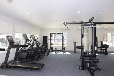 A gym with treadmills, elliptical machines, and weight machines.