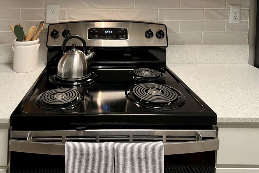 Stainless Steel Appliances Stainless Steel Appliances at Reserve at Park Place Apartment Homes, Hattiesburg, MS, 39402