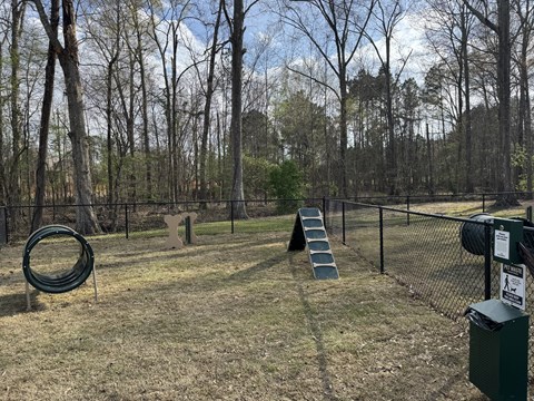 A playground with a slide, a tire swing, and a fence.