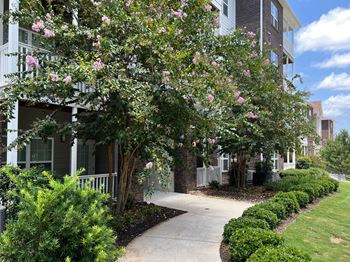 a tree with pink flowers in front of a building at The Met Apartment Homes in MS 39402