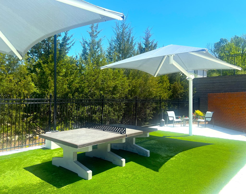 Ping Pong  at The Vineyard of Olive Branch Apartment Homes, Olive Branch, 38654