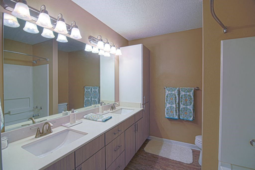 Quail Two Bed Sinks  at Quail Ridge Apartment Homes, Tennessee, 38135
