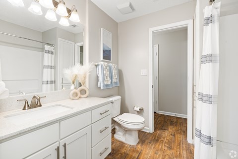 Modern Bathroom at Reserve at Park Place Apartment Homes, Hattiesburg, MS, 39402