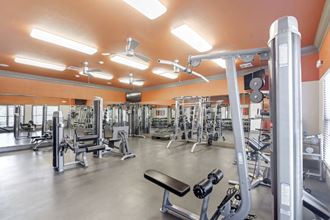 a gym with a lot of weights and cardio equipment