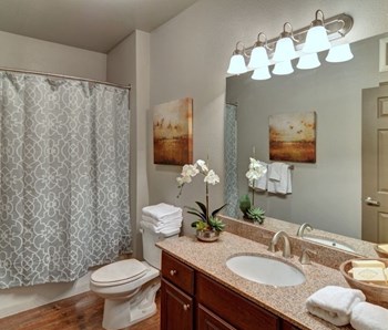 Bathroom Fittings at Wellington Grande Apartment Homes, Longview