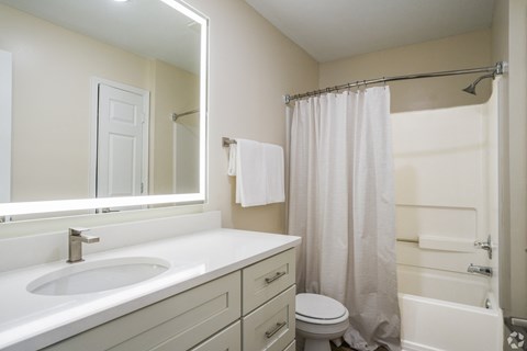 a bathroom with a sink and a toilet and a shower at The Vineyard at Castlewoods Apartment Homes in Brandon, Mississippi
