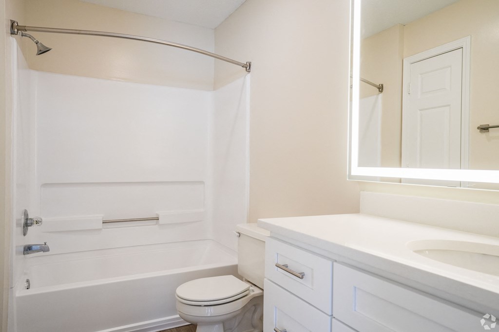 a bathroom with a sink and a toilet and a bath tub at The Vineyard at Castlewoods Apartment Homes in Brandon, MS 39047