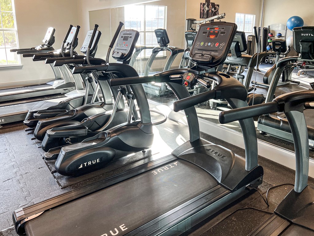 a row of treadmills in a fitness room with windows at The Madison Apartment Homes in Tyler, 75703