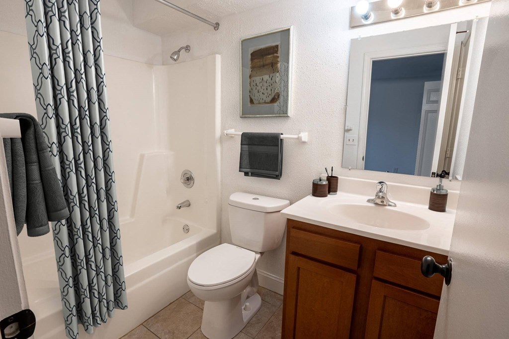 a bathroom with a sink toilet and bathtub