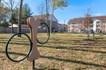 Dog Park at The Court at Sandstone Apartments, Greenwood, 46142